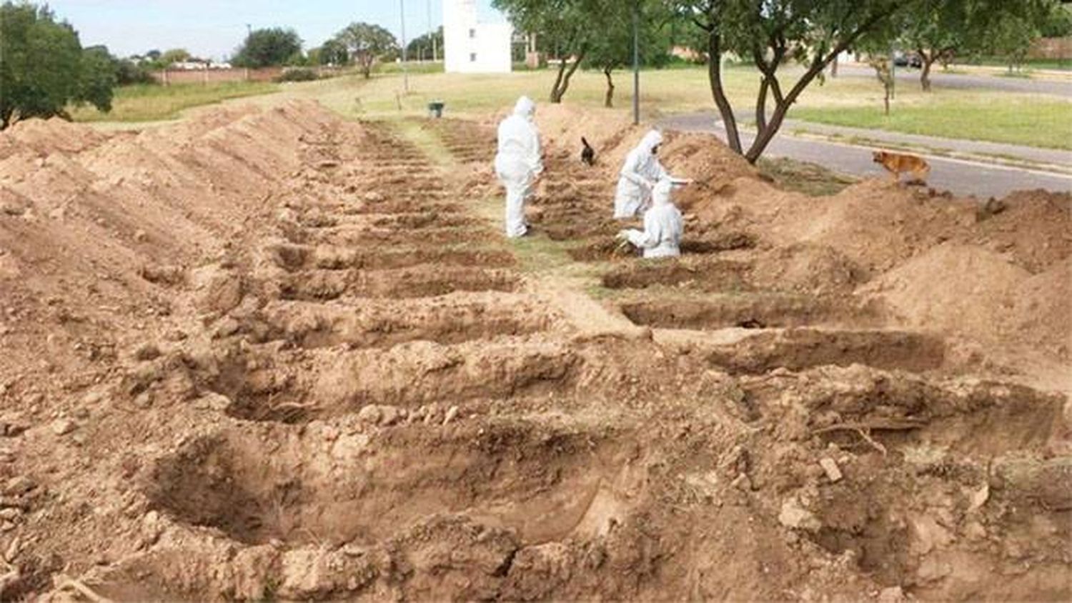 Cavan cientos de fosas en un cementerio de Córdoba para afrontar la pandemia