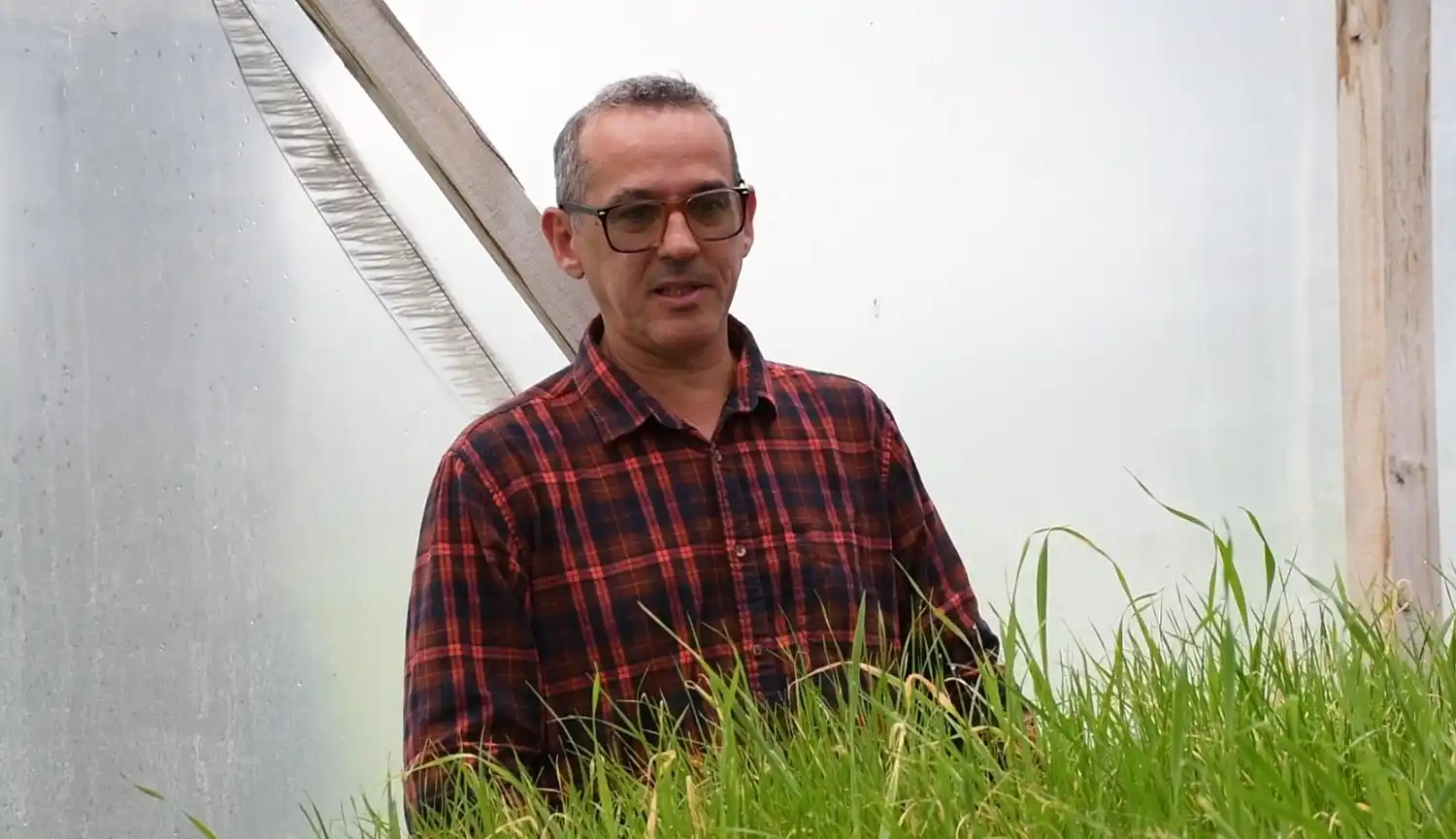 raigras jornada gigon - 3