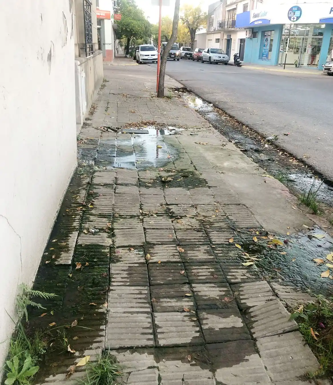 Vecinos indignados por una vereda rota y olores nauseabundos en pleno centro