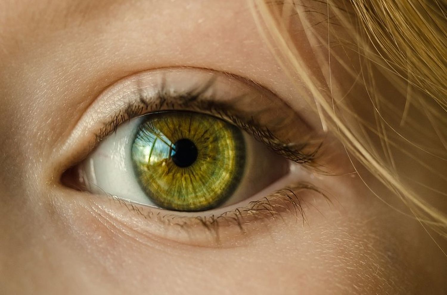 Día Mundial del Glaucoma