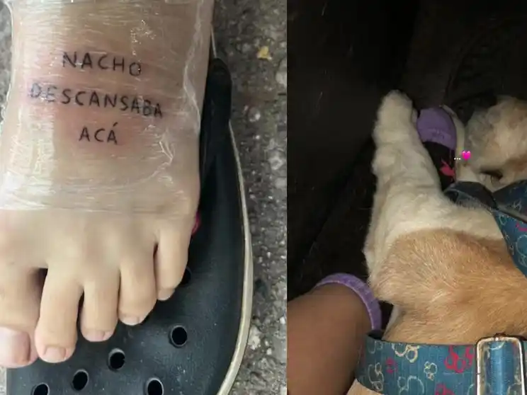 “Nacho descansaba acá”: el tatuaje de una joven en homenaje a su perro Beagle que conmovió a TikTok
