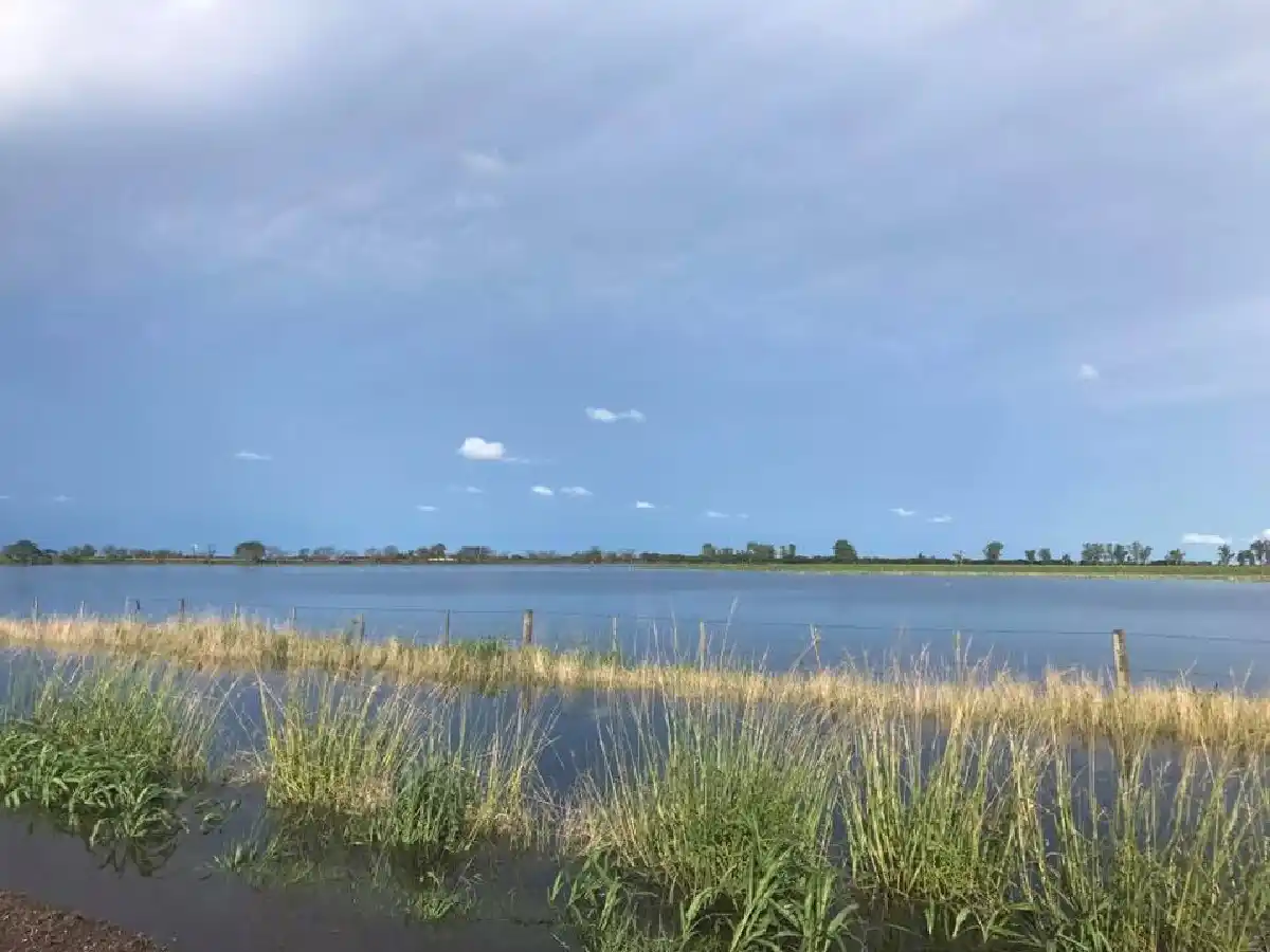 Santa Fe estima en 256 millones de pesos las  pérdidas por las inundaciones en la cuenca lechera 