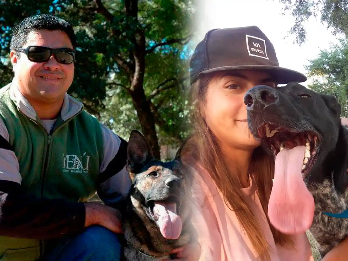 Mascotas y coronavirus: las recomendaciones de dos expertos   