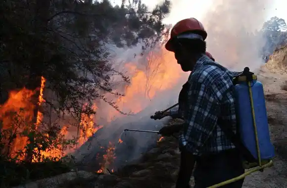 AÑO 2023: marcado por incendios forestales