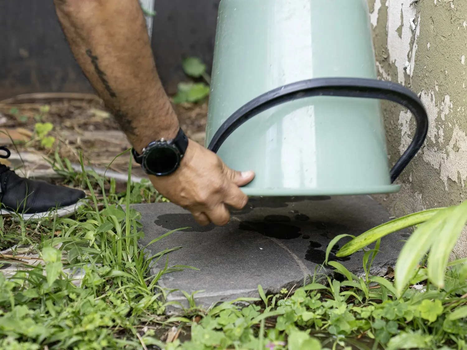 Recuerdan la importancia de sostener el descacharrizado para prevenir el dengue