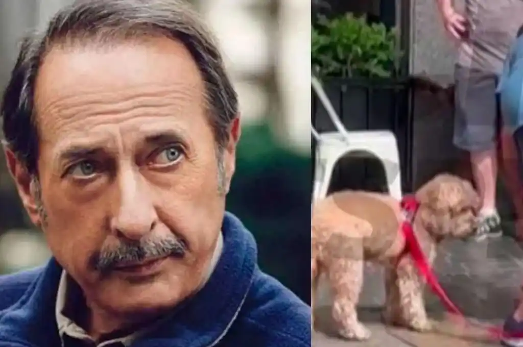 Guillermo Francella fue mordido por un perro cuando sacó a pasear a su mascota: la furia del actor