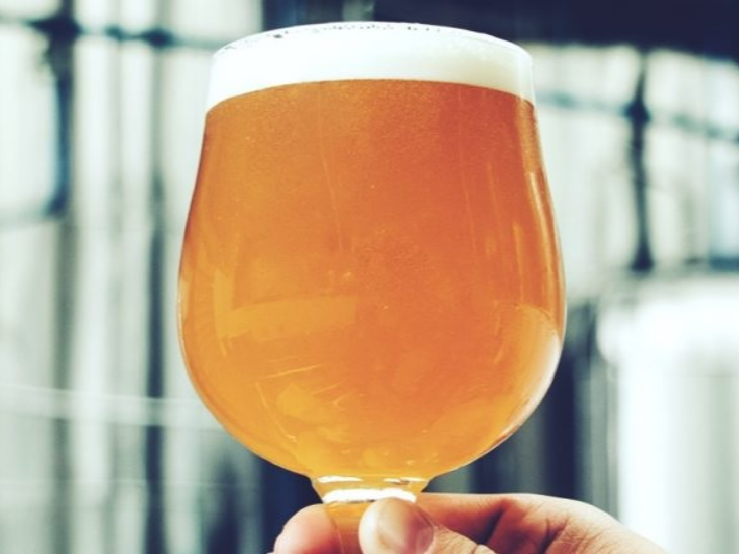 La mejor cerveza IPA de Sudamérica es de Buenos Aires 