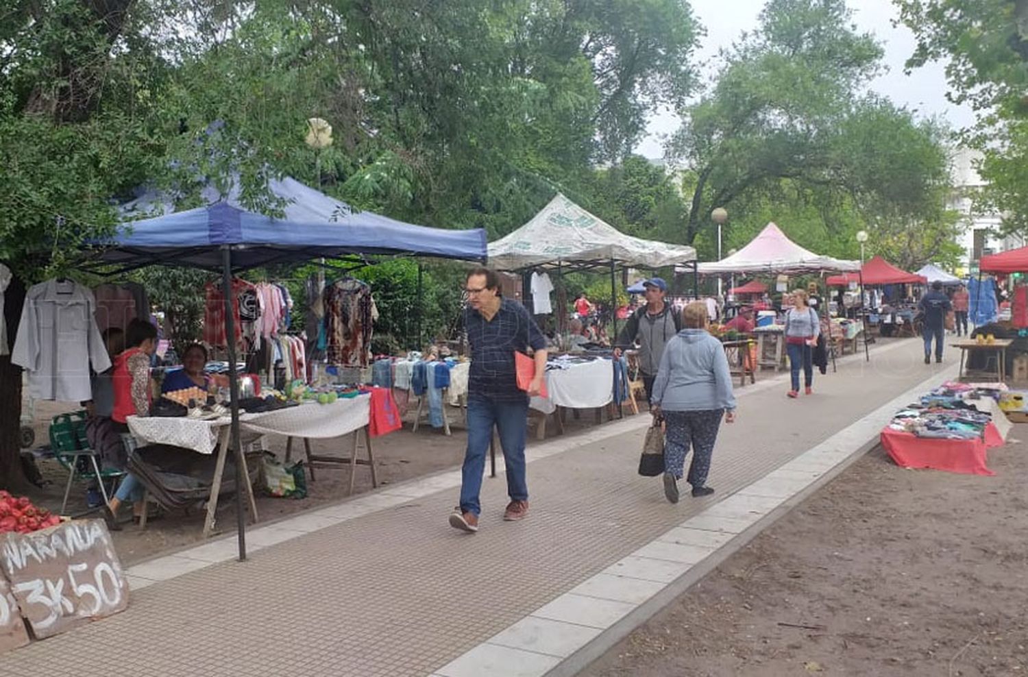 Plaza Rocha: "No tenemos ninguna posibilidad de llegar a fin de mes"