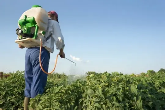 Suspenden por un año más la aplicación de la resolución sobre agroquímicos
