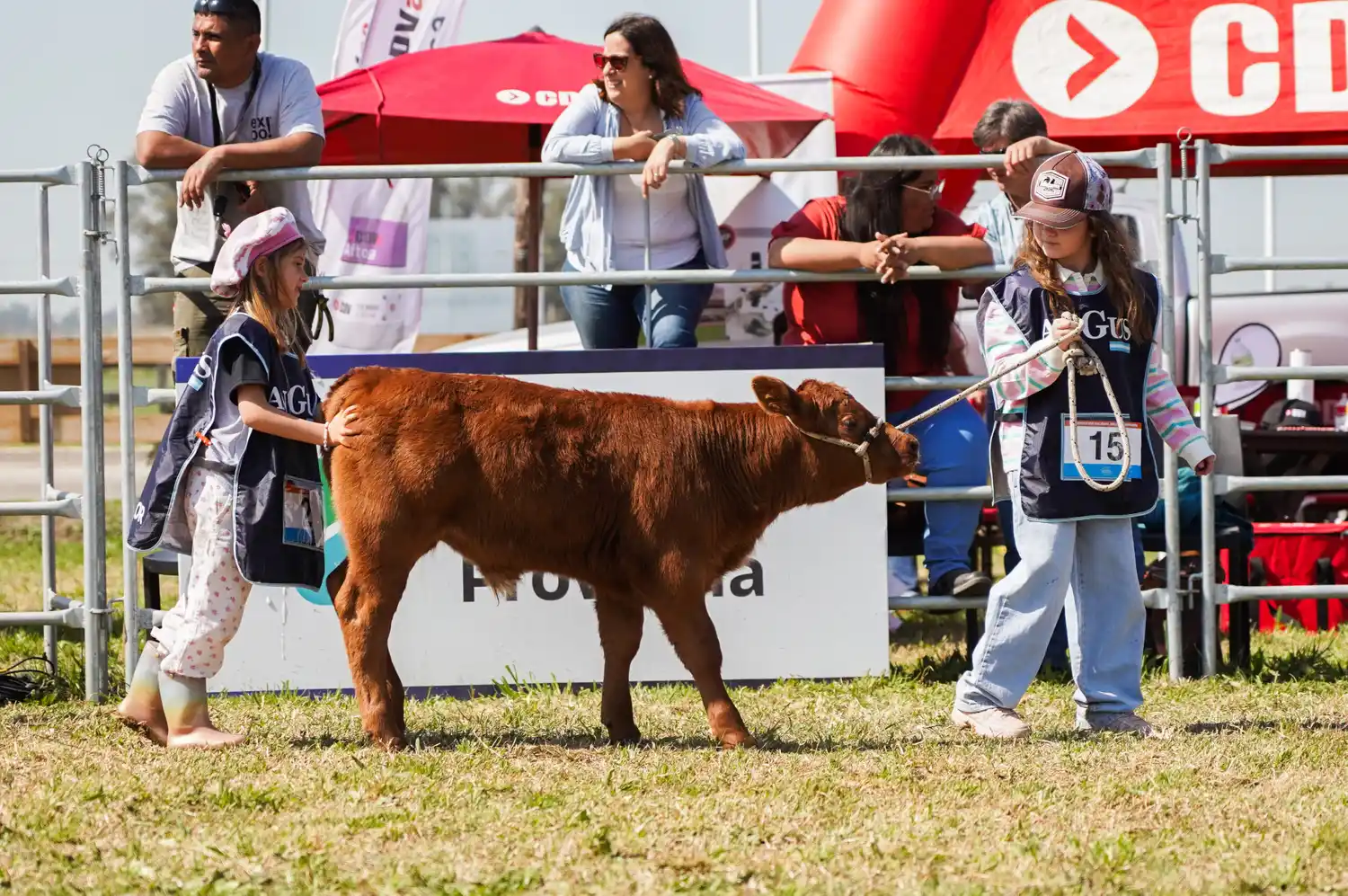 Angus empieza a festejar su Primavera en Cañuelas