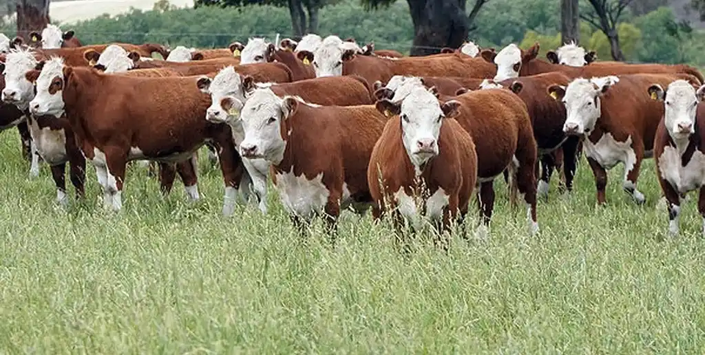 Del 3 al 6 de junio, la provincia de Santa Fe será el termómetro de una actividad que apuesta a la inversión a largo plazo.