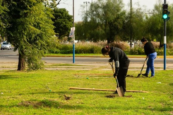 Plantan más de 100 árboles en el parque Scalabrini Ortiz este sábado