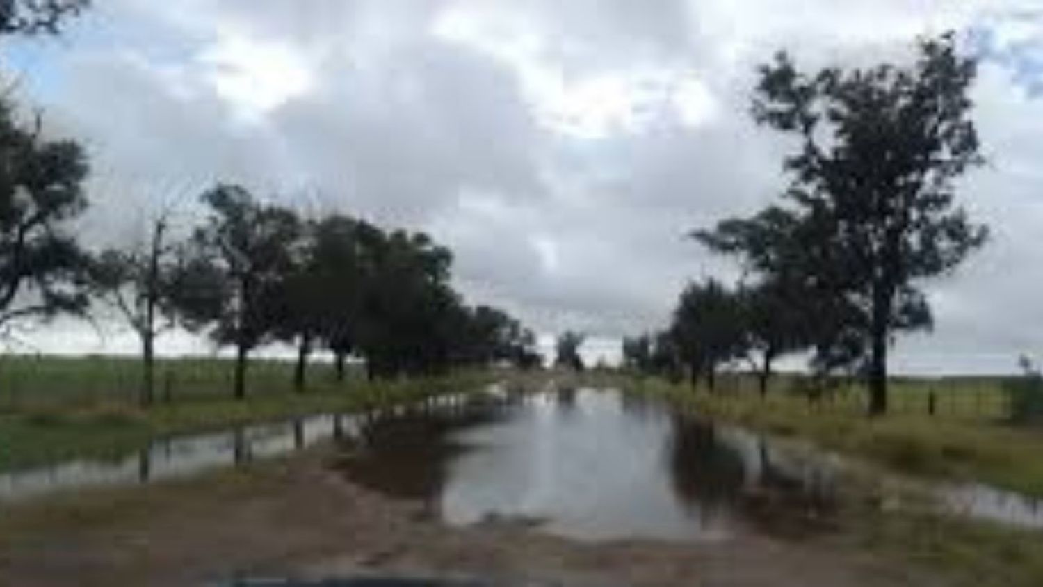 Llueve en el norte de la provincia y el campo se esperanza con una lenta recuperación