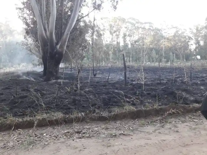 Incendio en 197 y 66