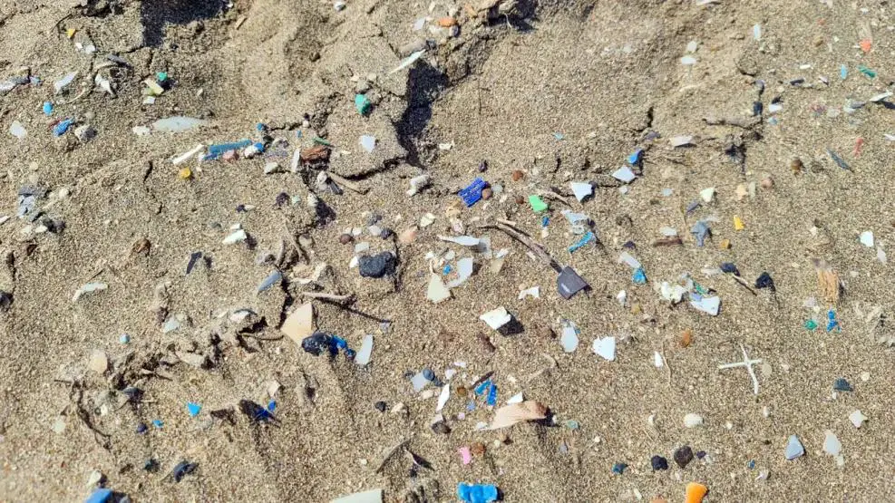 Microplástico. Abunda en la costa, según un estudio