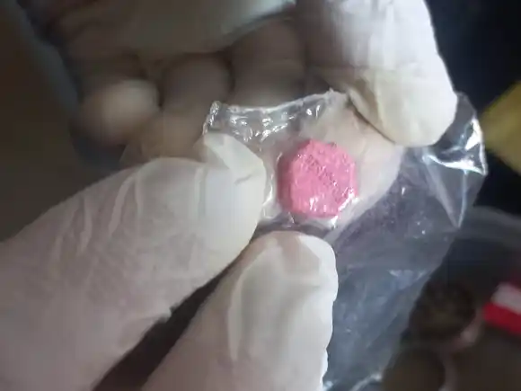 La Justicia absolvió a dos “mulas” del narcotráfico por su vulnerabilidad social