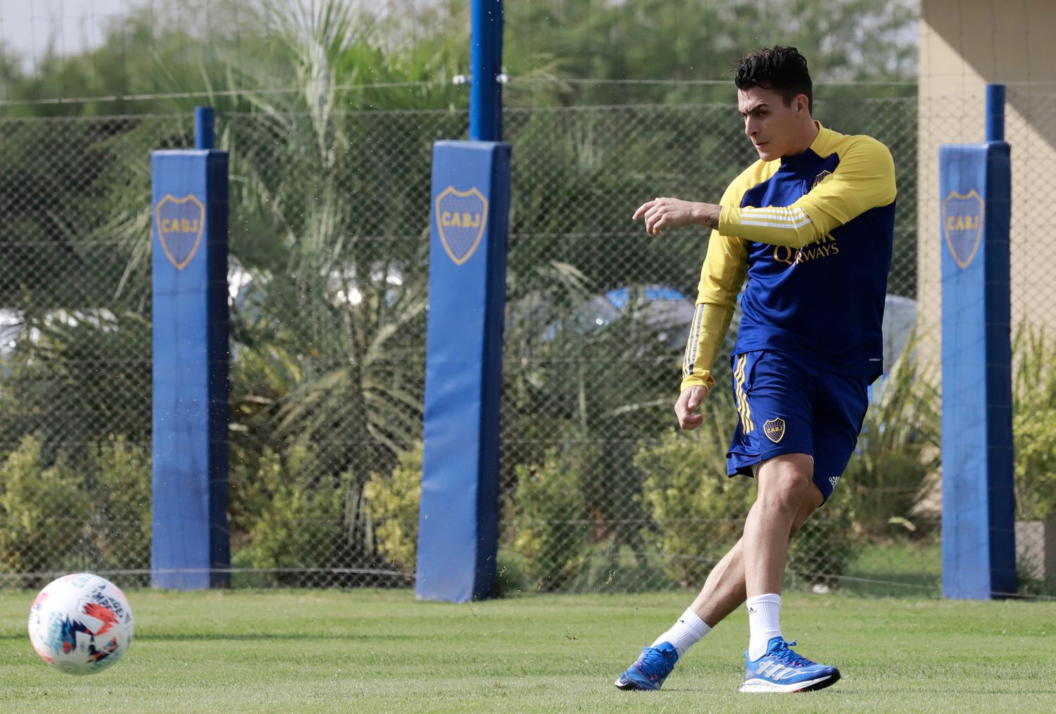 Pavón baja a la Reserva