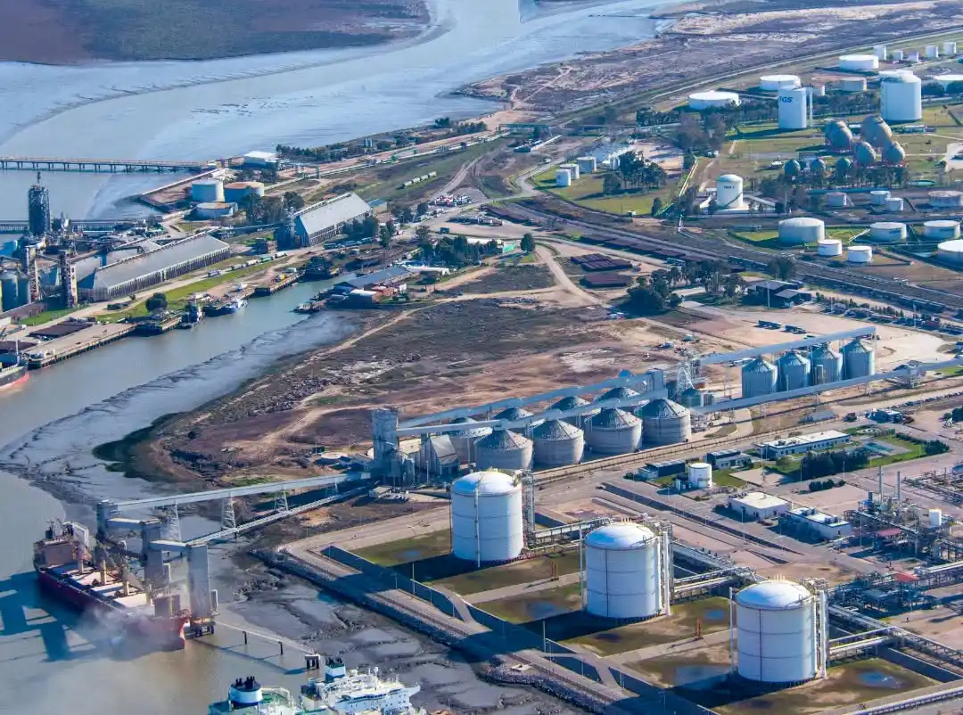 Girasol: Dreyfus hará en Bahía Blanca una de las mayores plantas de molienda del mundo