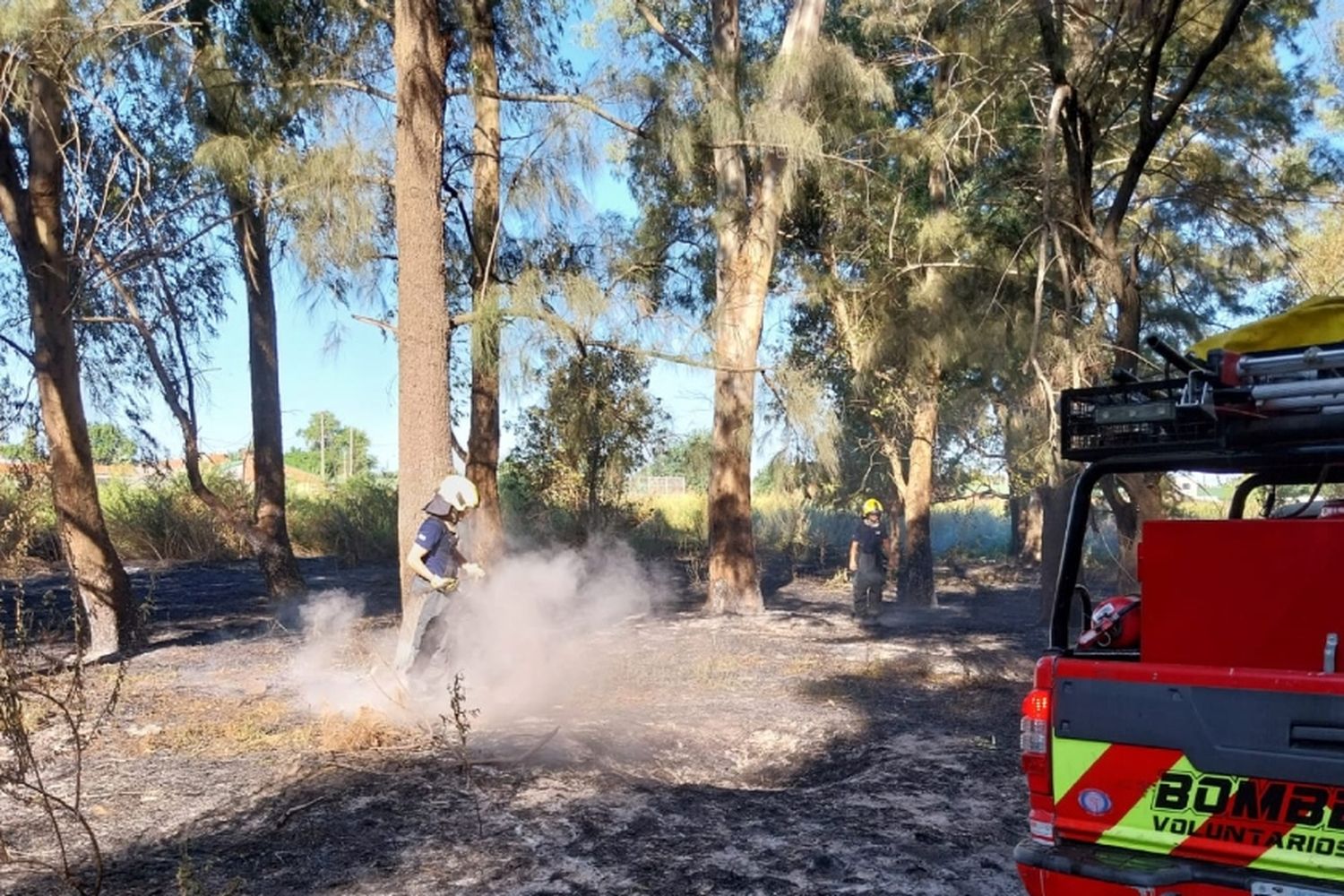 En medio de altas temperaturas, se volvió a incendiar el Bosque de los Constituyentes