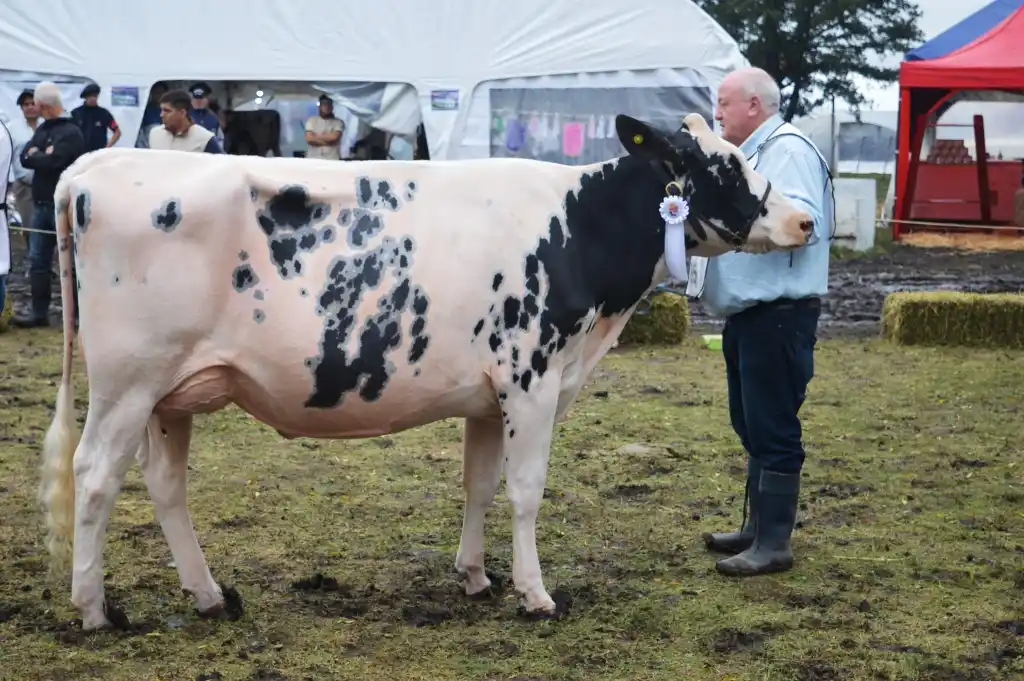Amavet destacó la importancia del sector lechero con datos estadísticos