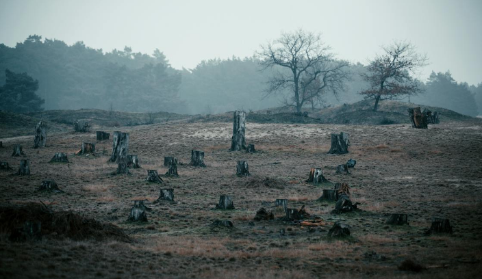 Formosa: ¿La economía amenaza al medio ambiente?