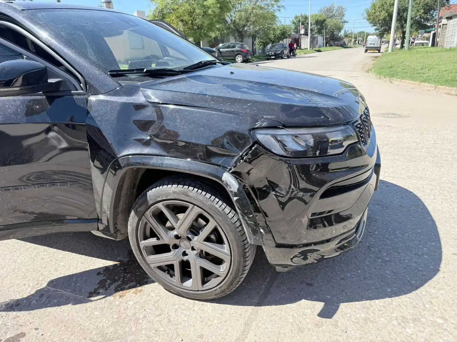 accidente venado - 1