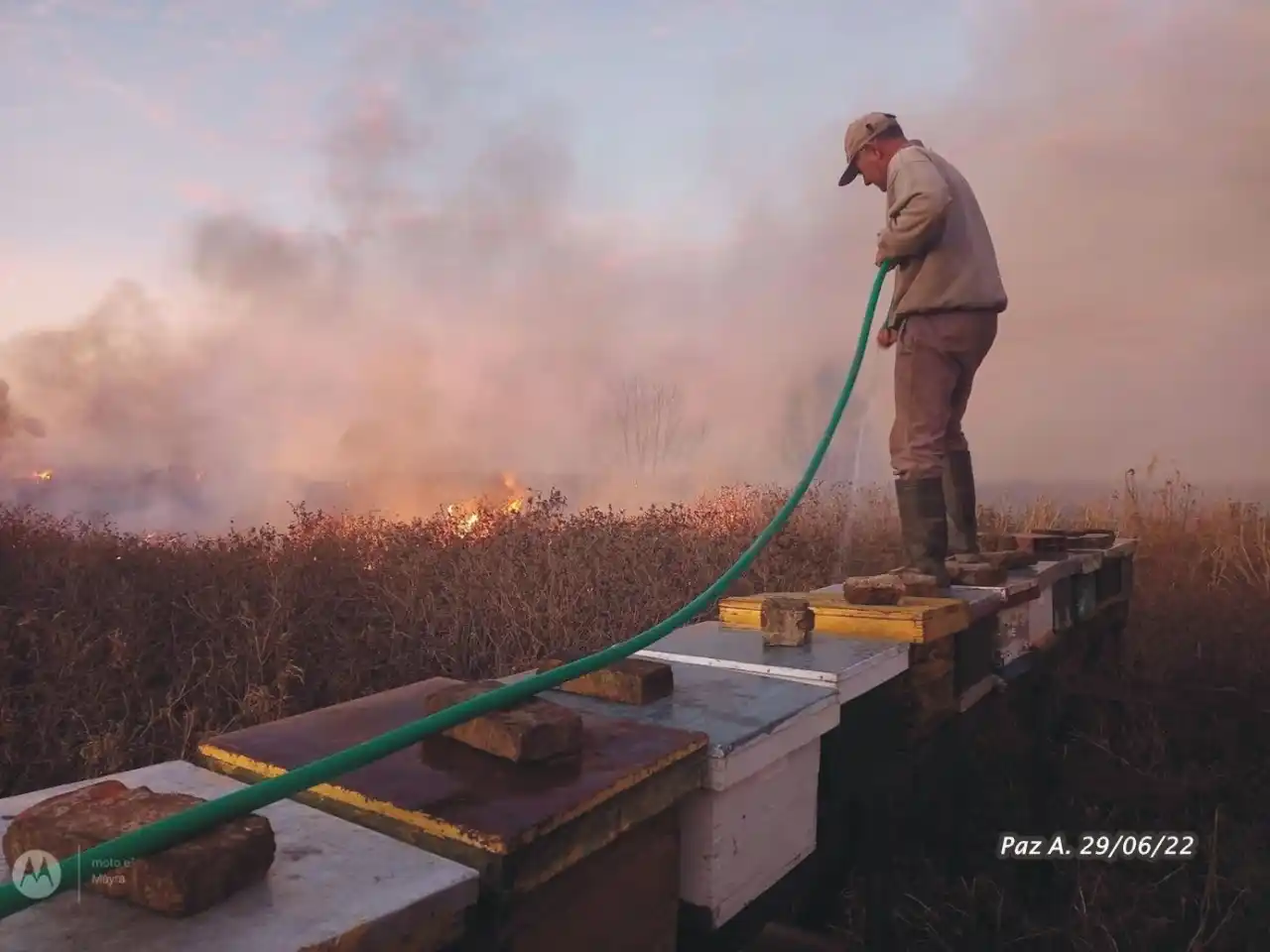 Incendios en el Delta del Paraná: Más de 430 focos activos entre fin de junio y principio de julio