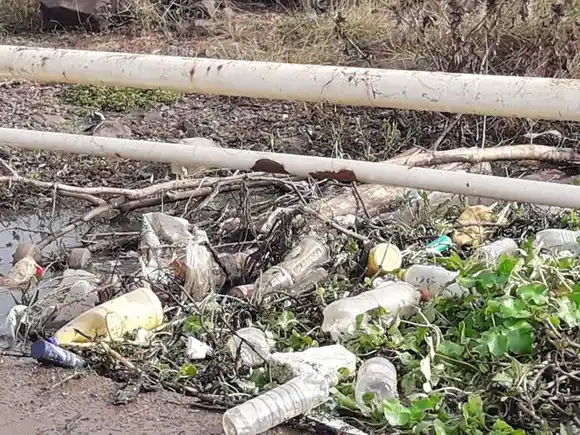 Lo que se ve en la Ciudad