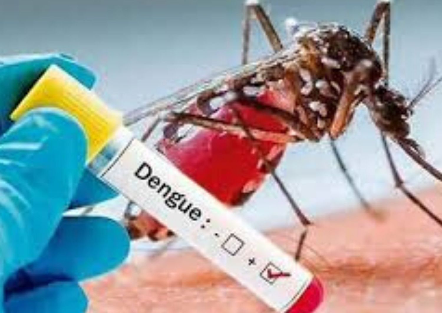 Paraguay: declararon la emergencia sanitaria en Asunción ante la epidemia del dengue