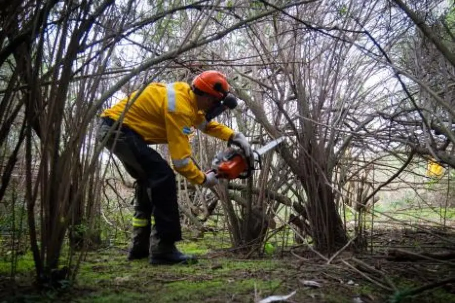 Continúan las acciones para prevenir incendios en las islas del sur provincial
