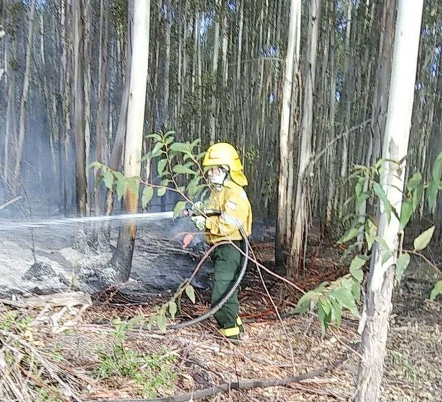 Bomberos voluntarios de Villa del Rosario controlaron un  incendio forestal