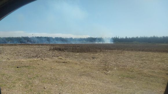 Propietarios del campo incendiado en Río Tala denunciaron al delegado en Fiscalía