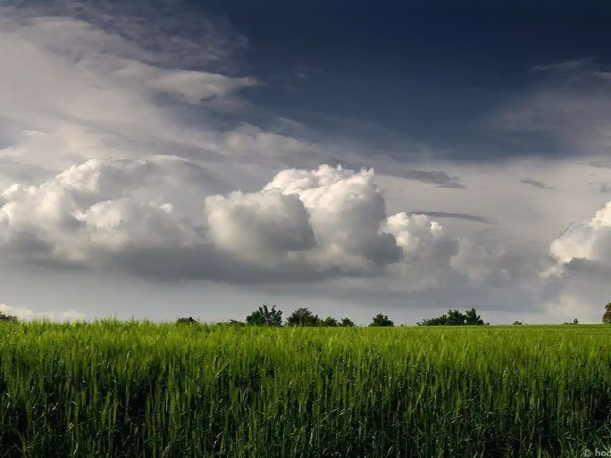 Mayo, el mes más llovedor del año en San Francisco       
