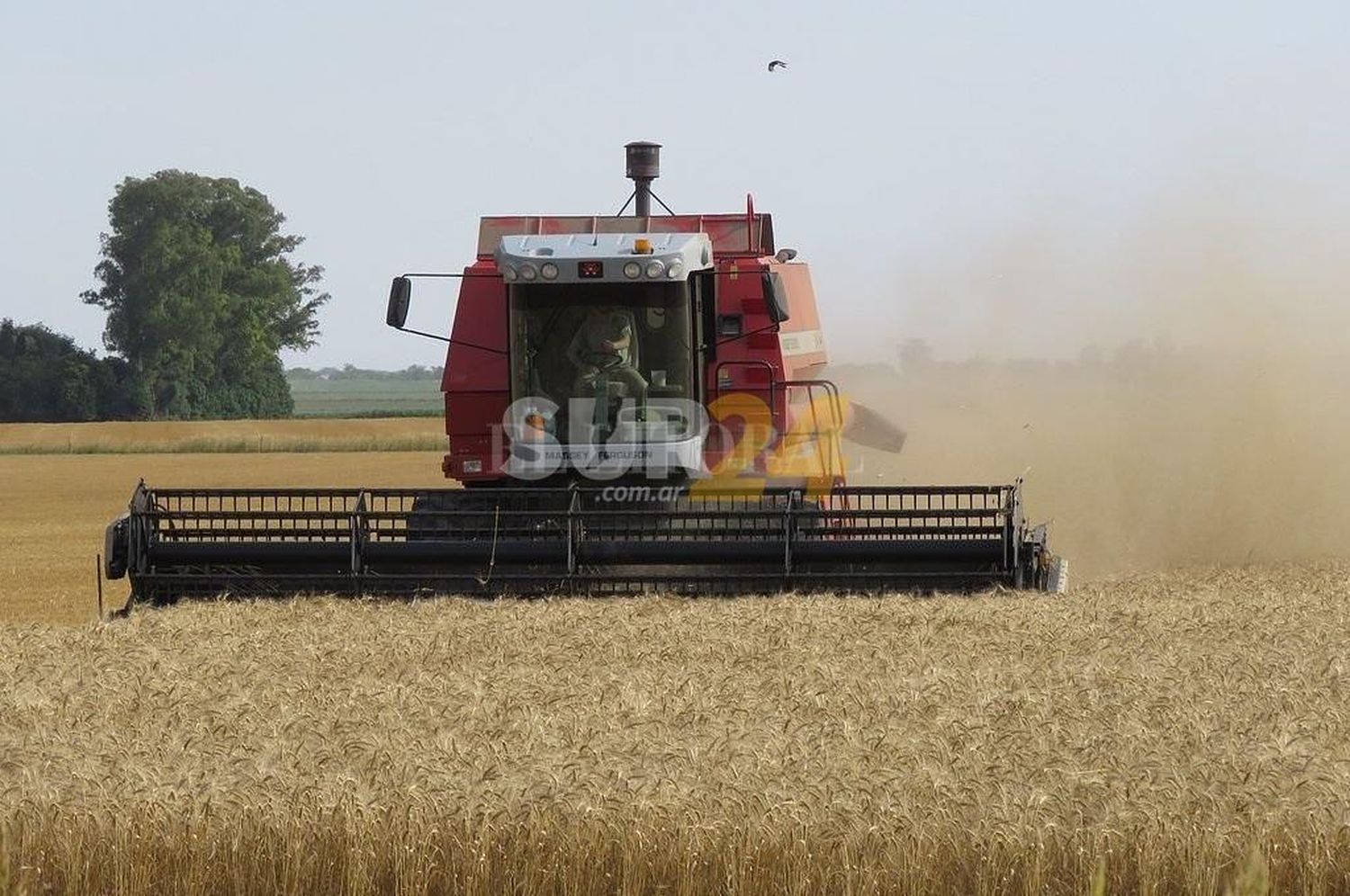 Lluvias generalizadas mejoraron la situación agrícola en once provincias