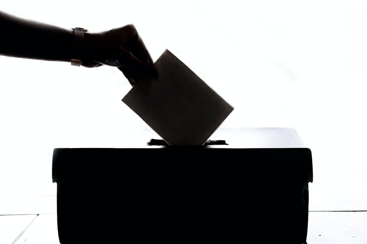 Vota por mí, ¡rapidito!?️