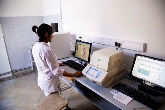 El INE presentó una herramienta para predecir el Coronavirus