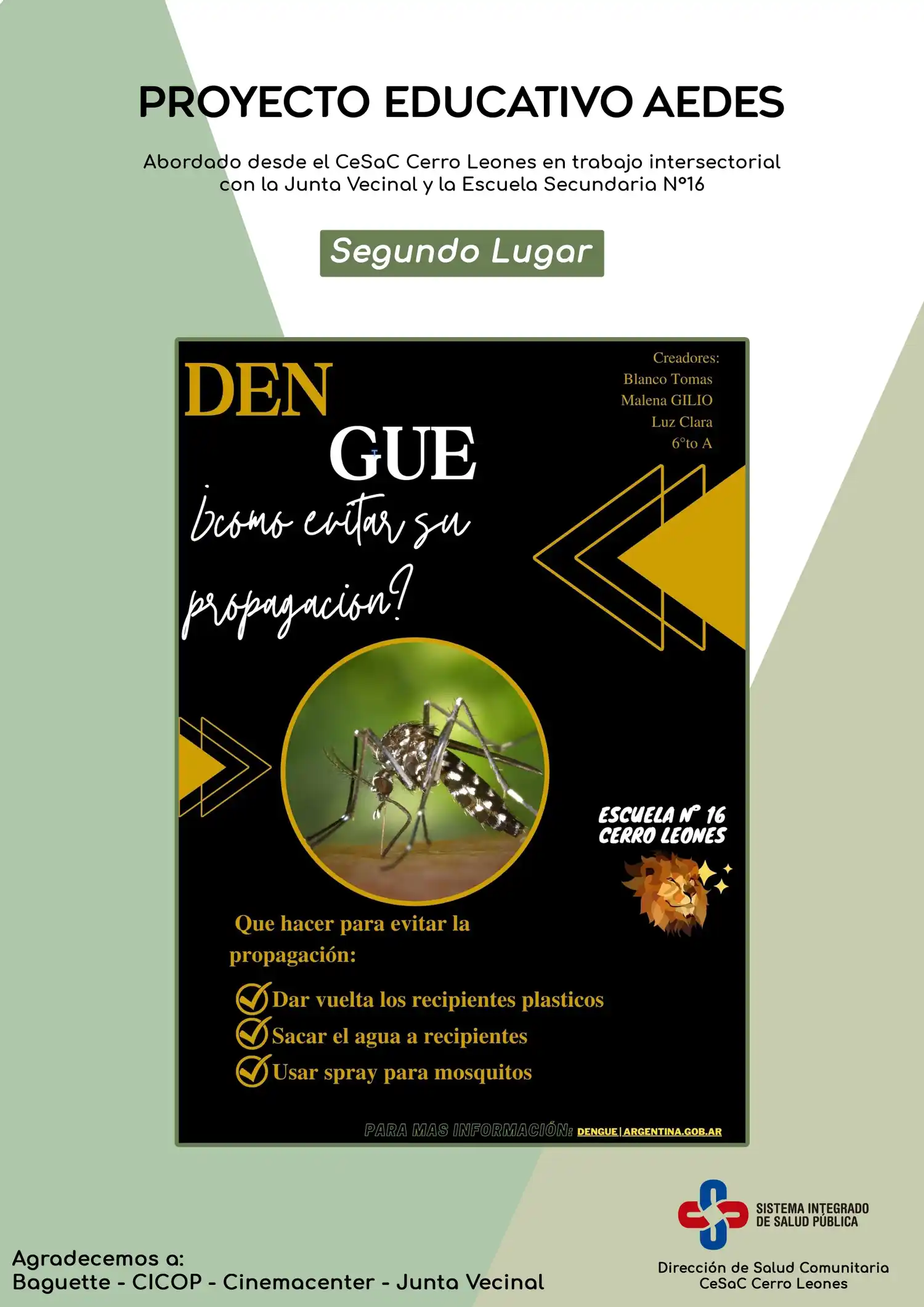 proyecto aedes cerro leones - 1