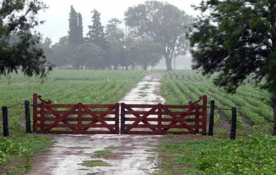 Tras la sequía, el campo se recupera con un año más lluvioso