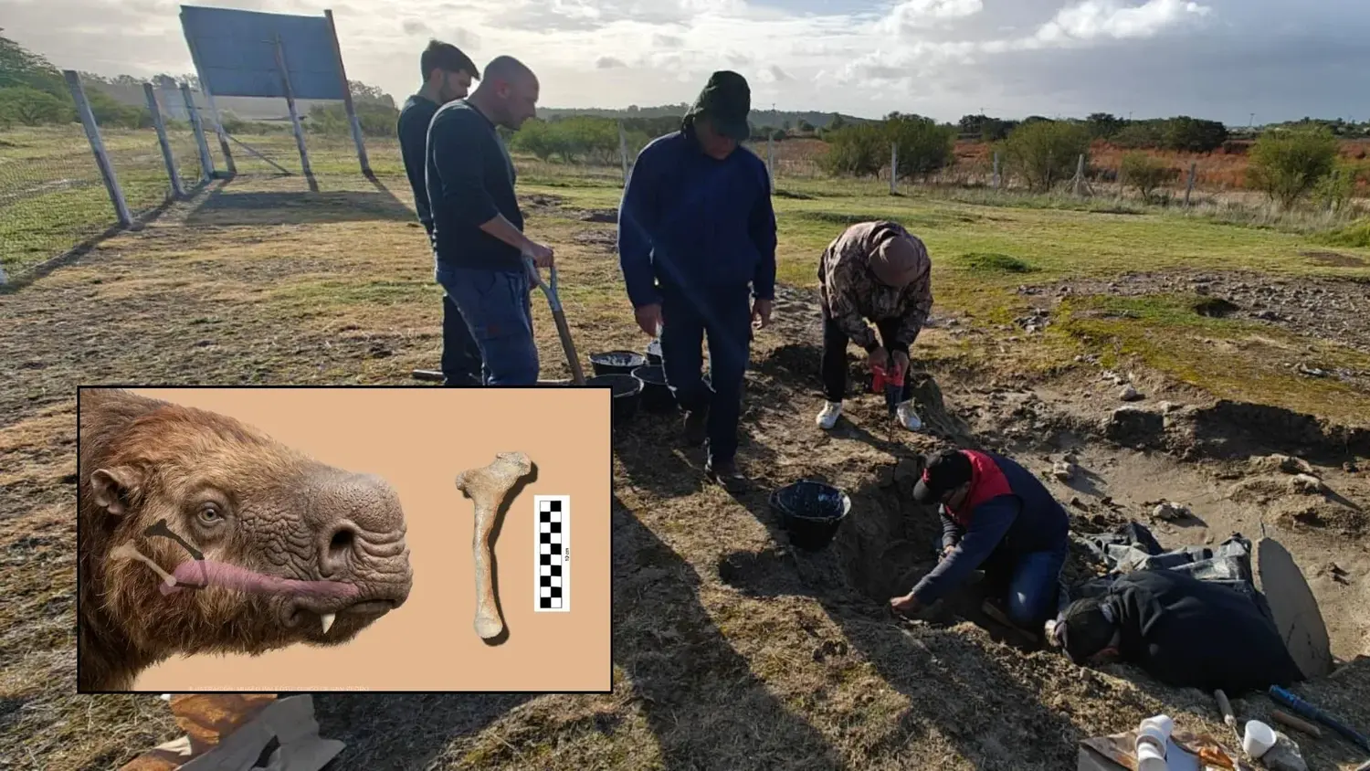 El Grupo Conservacionista de Fósiles hallo una pieza inédita para nuestro país, en el yacimiento del Campo Spósito. Es un hueso hioides.