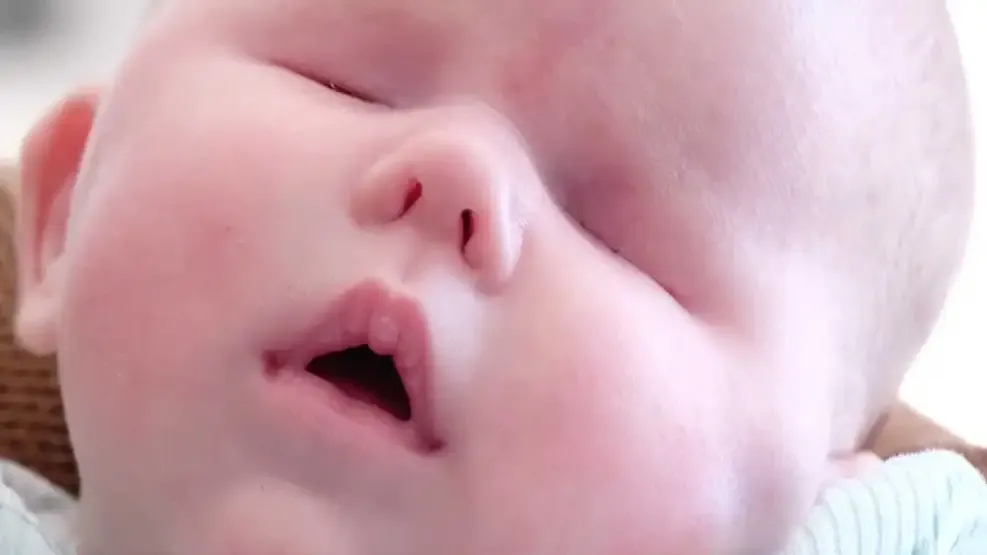 Wrenley nació el 6 de noviembre pasado después de un largo desafío de fertilidad.