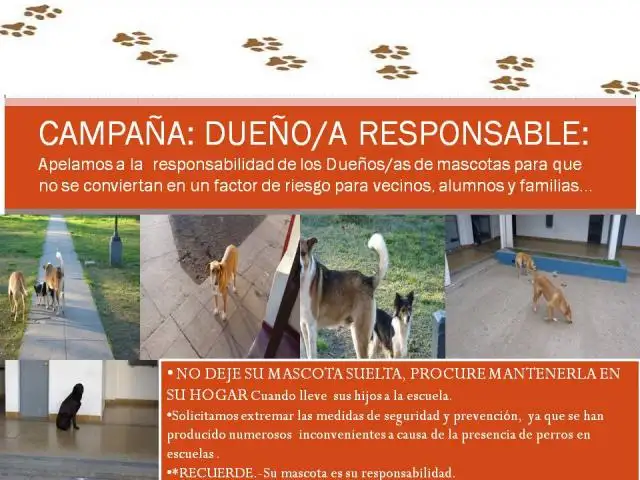 CAMPAÑA DUEÑO/A RESPONSABLE