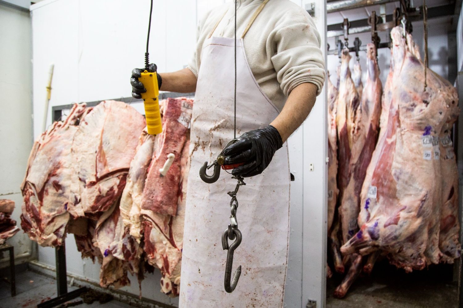 “Este es un trabajo muy especial, que requiere sacrificio”, indicaron desde el frigorífico.