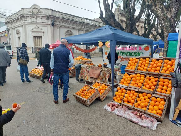 Arrancó la previa de la Fiesta de la Naranja: stands, actividades y talleres al aire libre