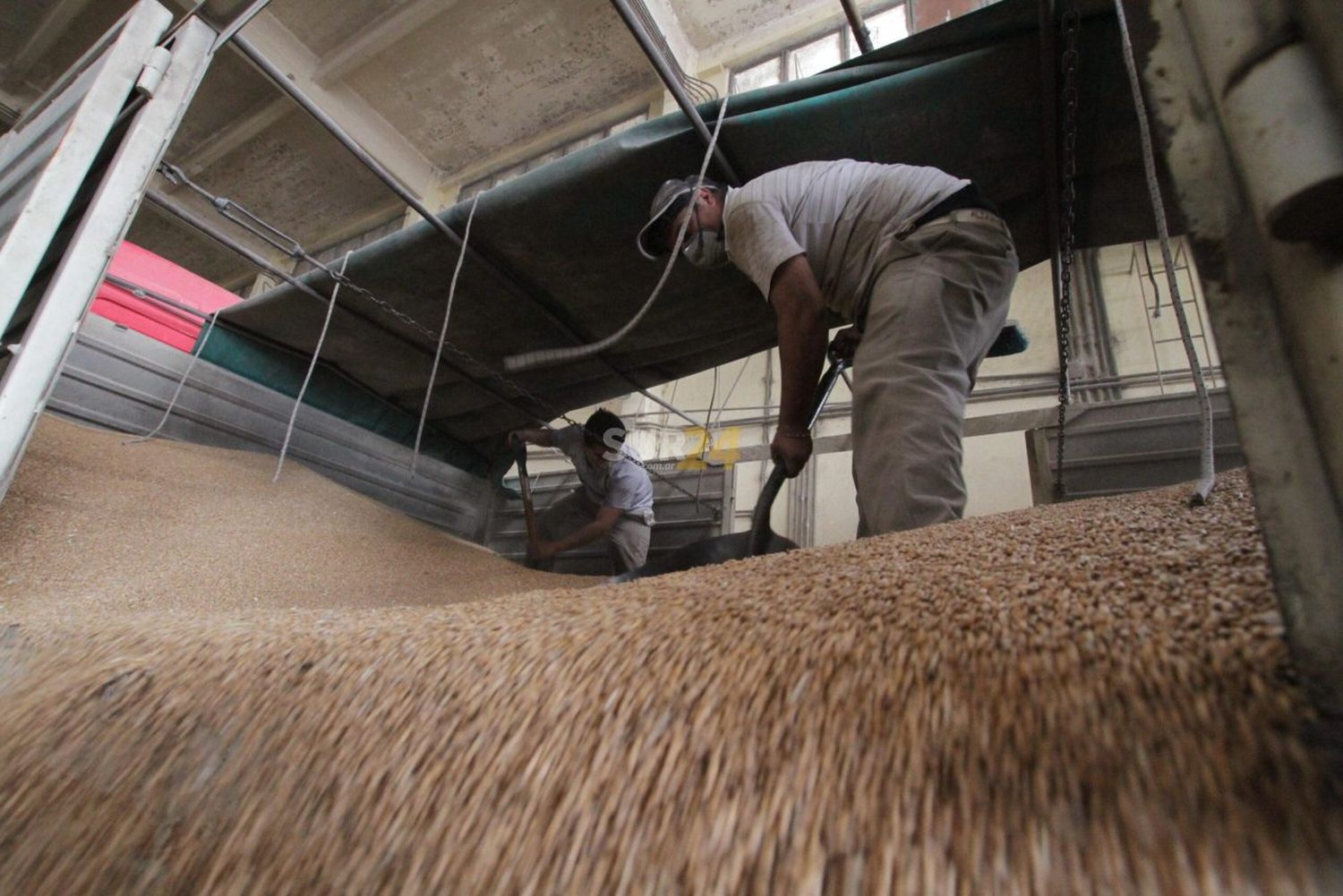 La Unión Europea importará alimentos de Argentina si continúa la guerra en Ucrania