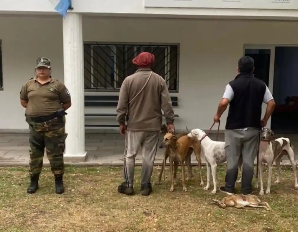 Intervenciones de la Policía Rural en Chascomús: actuaciones por caza furtiva, amenazas y un detenido con pedido de captura