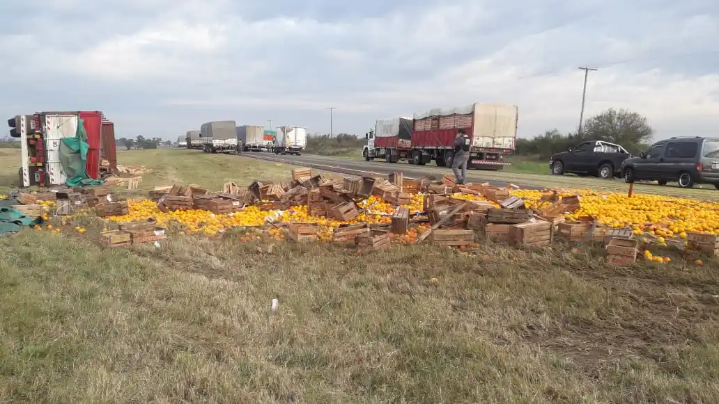 Camión volcó y desparramó su carga de naranjas y mandarinas