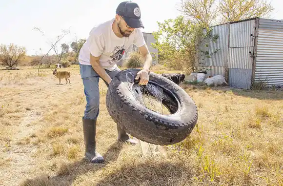 El dengue es una enfermedad que se puede prevenir por medio de medidas simples