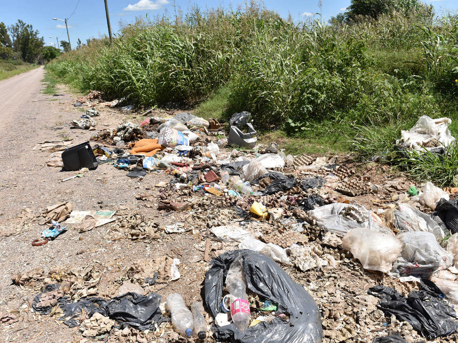 Nueves meses después, sigue  habiendo cien minibasurales   