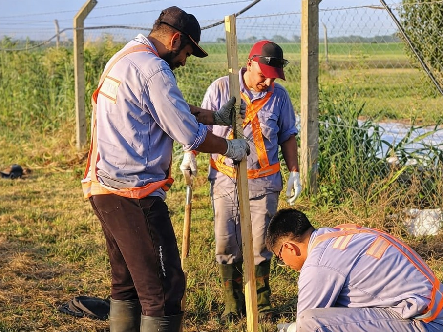 Tareas en el marco del Plan de Forestación en el Aéro Club