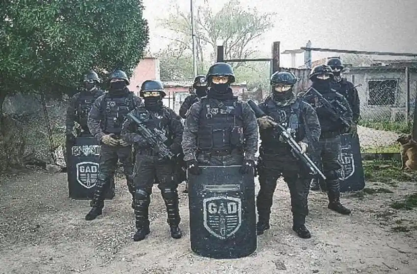 Video: dieron con los culpables de un robo millonario a una papelera marplatense